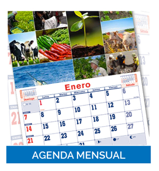 Almanaques Agenda